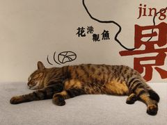 -猫的天空之城概念书店(杭州南宋御街店)