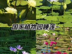 -国家植物园