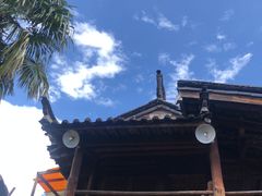 -田德能咖啡博物馆