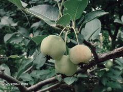 -红石寨旅游度假区
