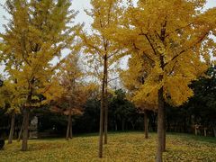 -井格重庆火锅(新世纪店)