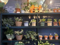 -思南书局(复兴中路店)