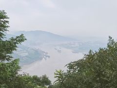 -铁山坪森林公园