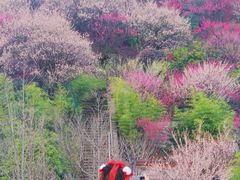 -台州府城(江南长城)