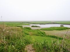 -湖南东洞庭湖国家级自然保护区