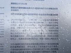 -美人鱼