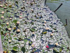 -燕郊植物园