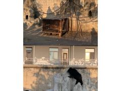 -商丘市人民公园