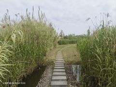 -嘉北郊野公园