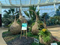 -石家庄市植物园