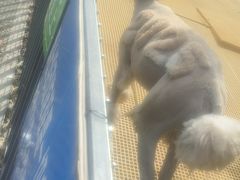 -新疆天山野生动物园