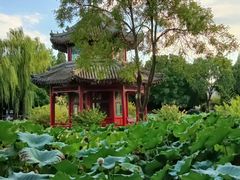 -莲池书院博物馆