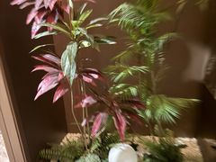 -臻享足道·HIFI影院足疗·泡浴SPA(成华店)