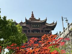 -黄鹤楼公园(黄鹤楼)