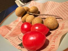 -季季山•云南野生菌火锅(上海首店)
