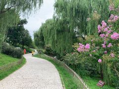 -北京西山国家森林公园