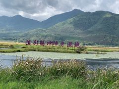 -腾冲北海湿地
