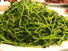 炒豆苗-新港海鲜酒家