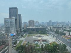 -成都明宇丽雅饭店