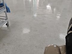 -上海市血液中心
