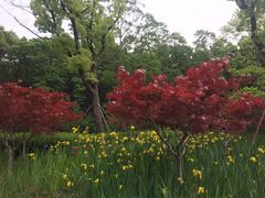 -昆山城市生态森林公园