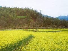 -塔川景区