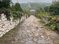 -原山国家森林公园