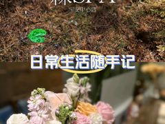 -森SPA·泰式按摩·精油Massage(宝安中心店)