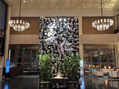 -成都安仁福朋喜来登酒店