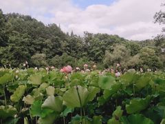 -阿哈湖国家湿地公园