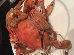 -富力希尔顿酒店·地阔自助餐厅