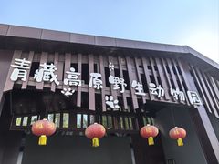 -青藏高原野生动物园