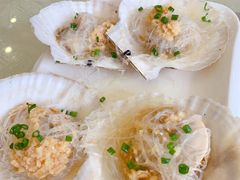 -澳门环岛游湾仔码头