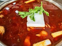 芋儿鸡-佘记全家福芋儿鸡(向阳街总店)