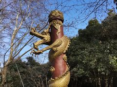 -杭州黄龙洞