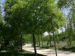 -武清南湖绿博园