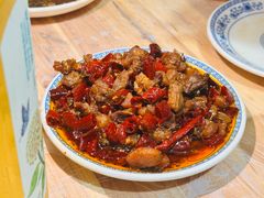 -食神又名厕所兔