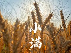 -大宁公园