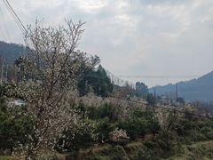 -樱桃山旅游景区