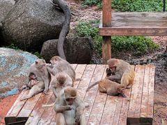 -广州长隆野生动物世界