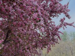 -蓝地时尚庄园(北京清河营地铁站店)