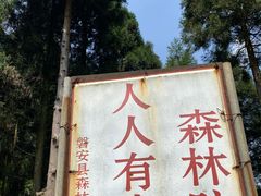 -缙云山景区
