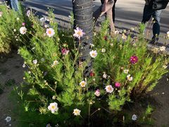 -思金拉措庄园藏餐(太阳岛店)