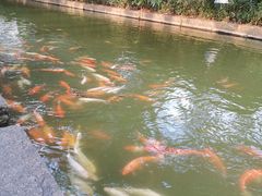 -珠海圆明新园