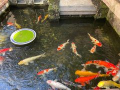 -馨园villa融合菜(东山店)