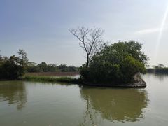 -大湾区中央湿地公园