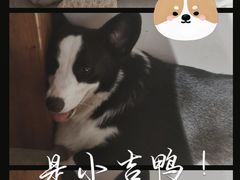 -自由生长植物工作室(深港花卉中心店)