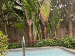 -广州都喜泰丽温泉度假酒店