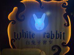 -白兔子密室(长寿路店)