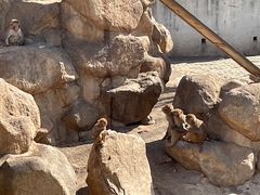-西安秦岭野生动物园